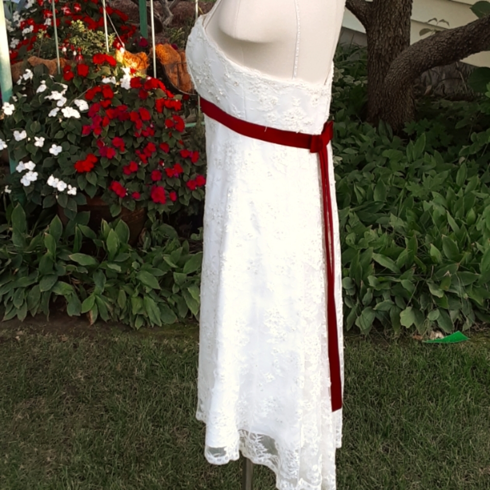 FINAL lvg 9/15 Designer Gown Tea Length wedding quinceanera ball formal - Picture 8 of 16